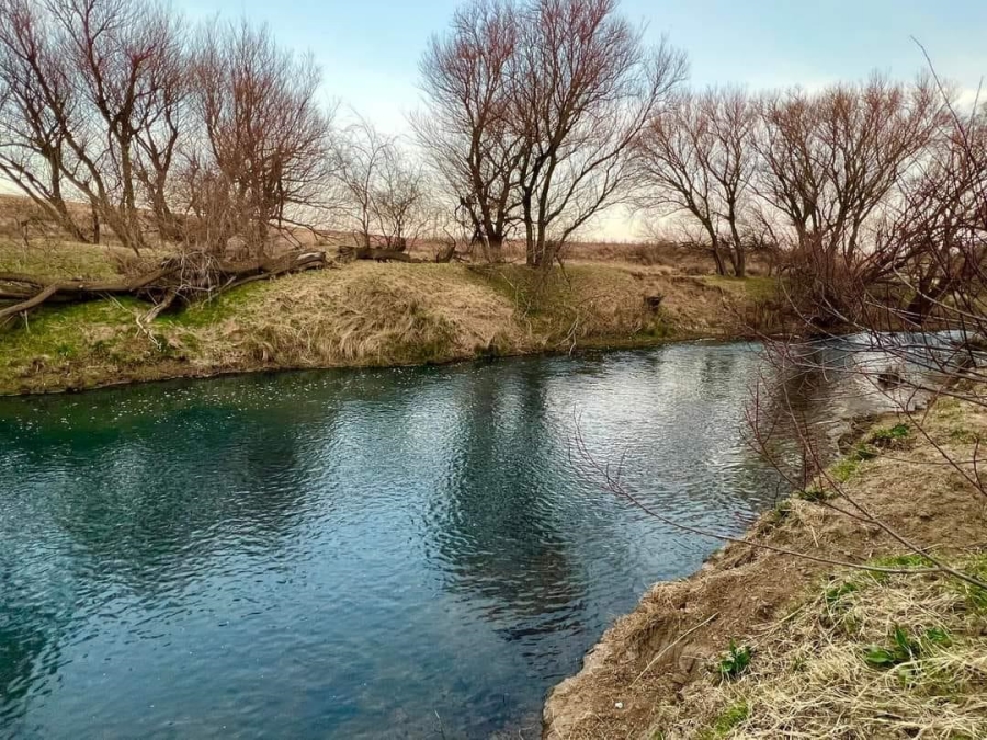 Commercial Property for Sale in Kestell Rural Free State